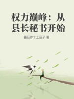 權力巔峯：從縣長祕書開始